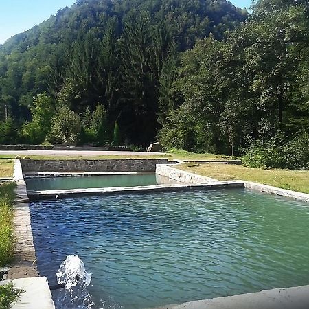 Pensiunea Limpedea Baia-Sprie Buitenkant foto