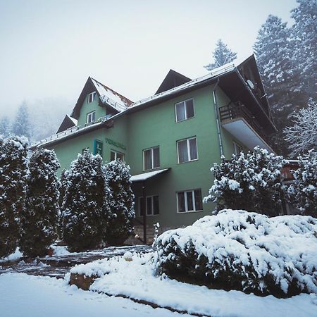 Pensiunea Limpedea Baia-Sprie Buitenkant foto