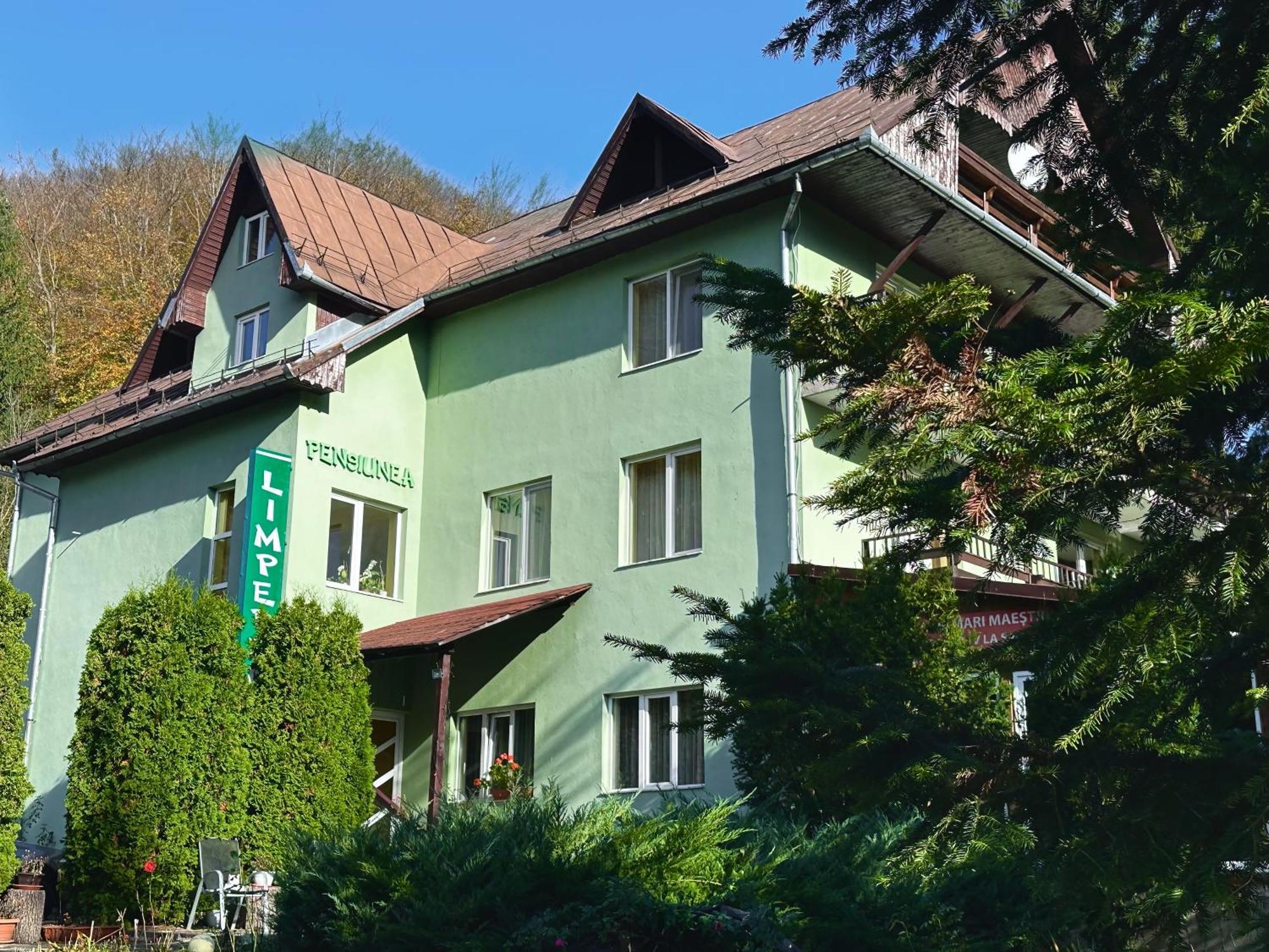 Pensiunea Limpedea Baia-Sprie Buitenkant foto