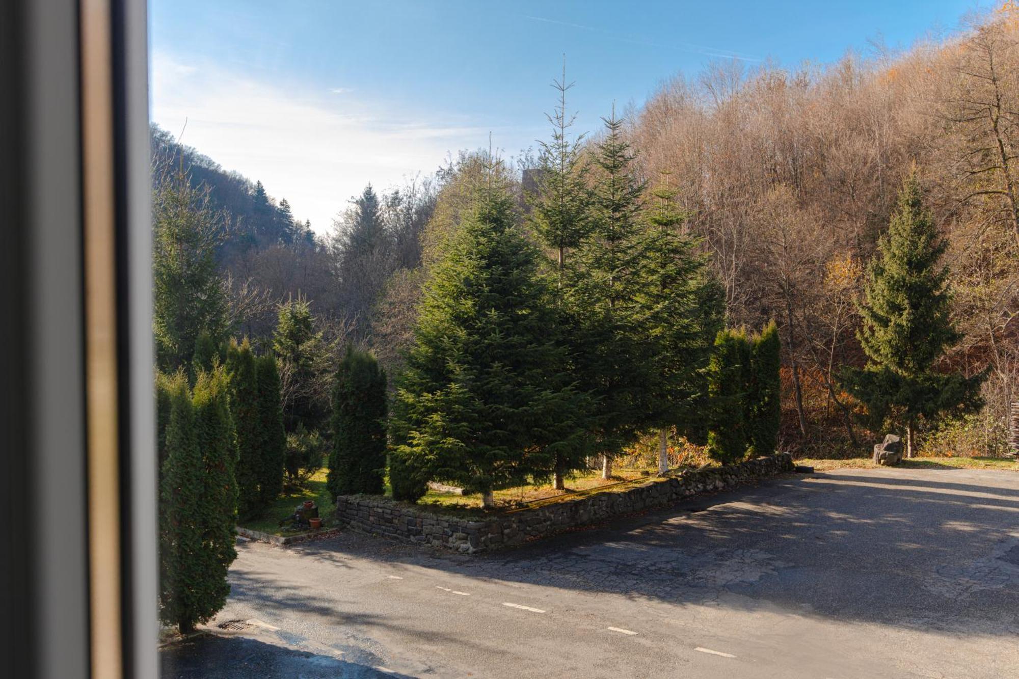 Pensiunea Limpedea Baia-Sprie Buitenkant foto