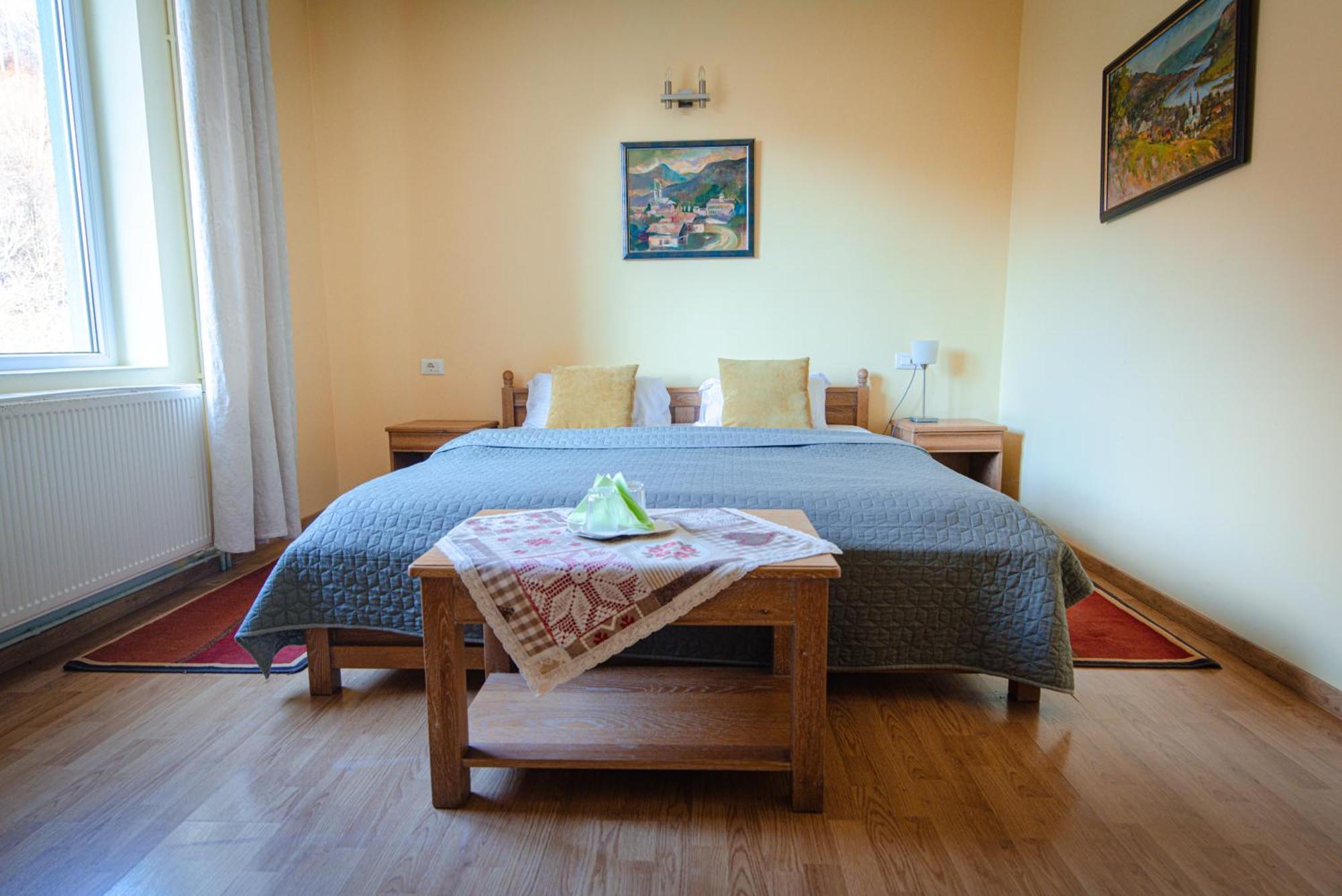 Pensiunea Limpedea Baia-Sprie Buitenkant foto