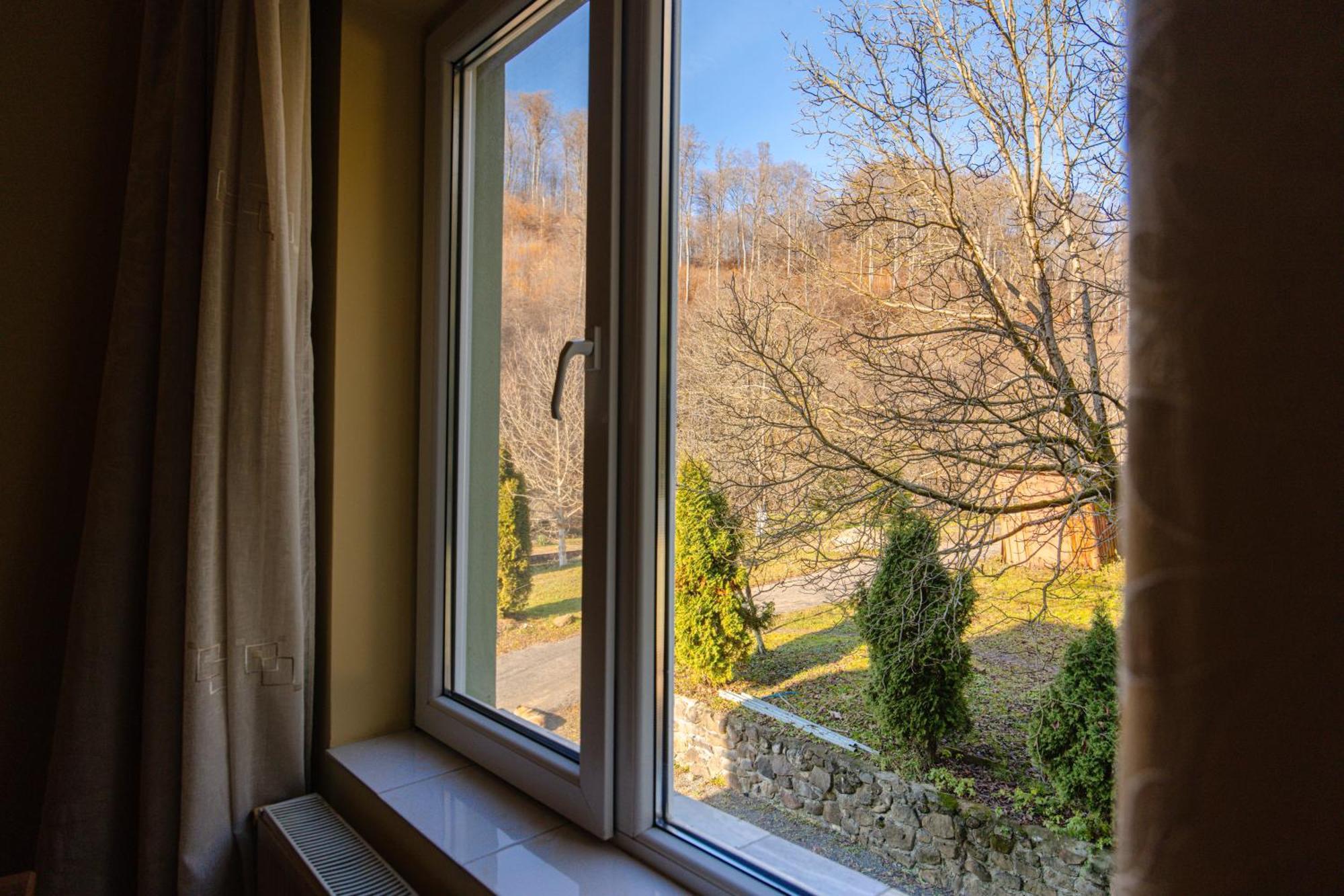 Pensiunea Limpedea Baia-Sprie Kamer foto