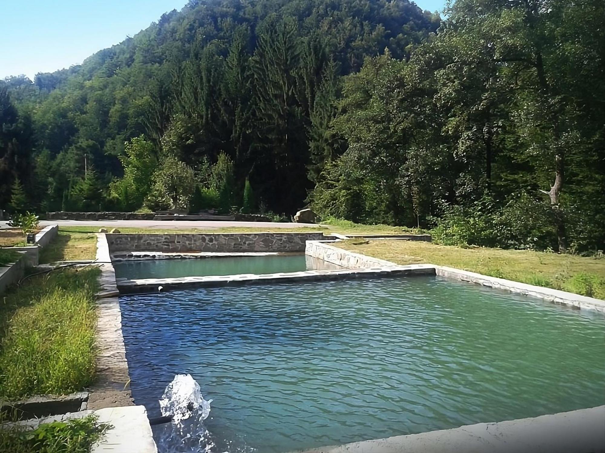 Pensiunea Limpedea Baia-Sprie Buitenkant foto