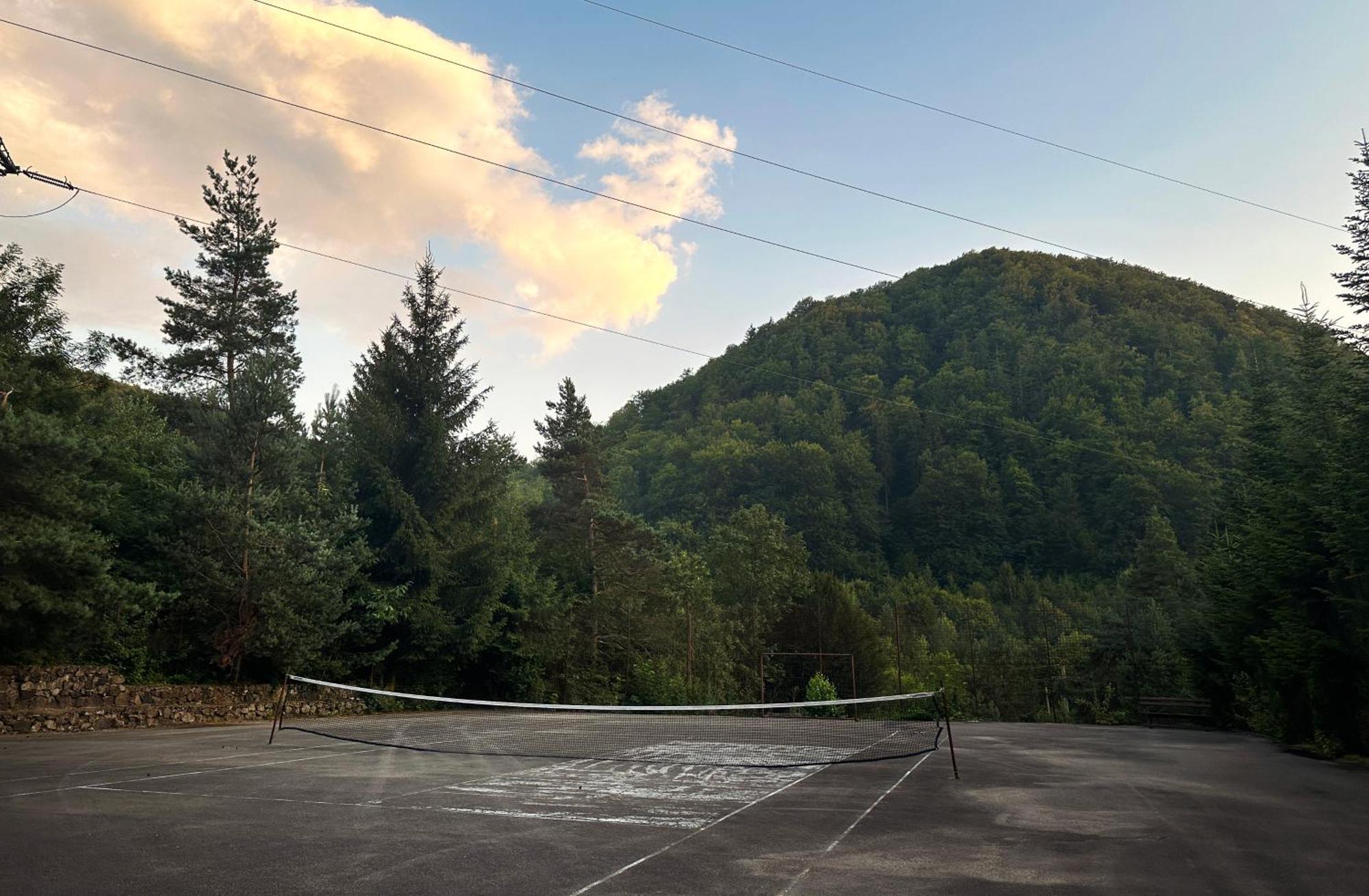 Pensiunea Limpedea Baia-Sprie Buitenkant foto